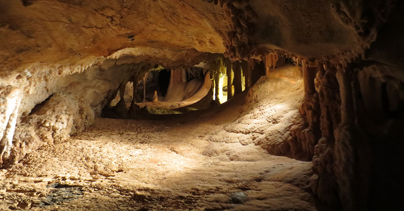 ジェノランケーブ（Jenolan caves）